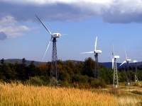 Біля Борислава буде нова вітрова електростанція