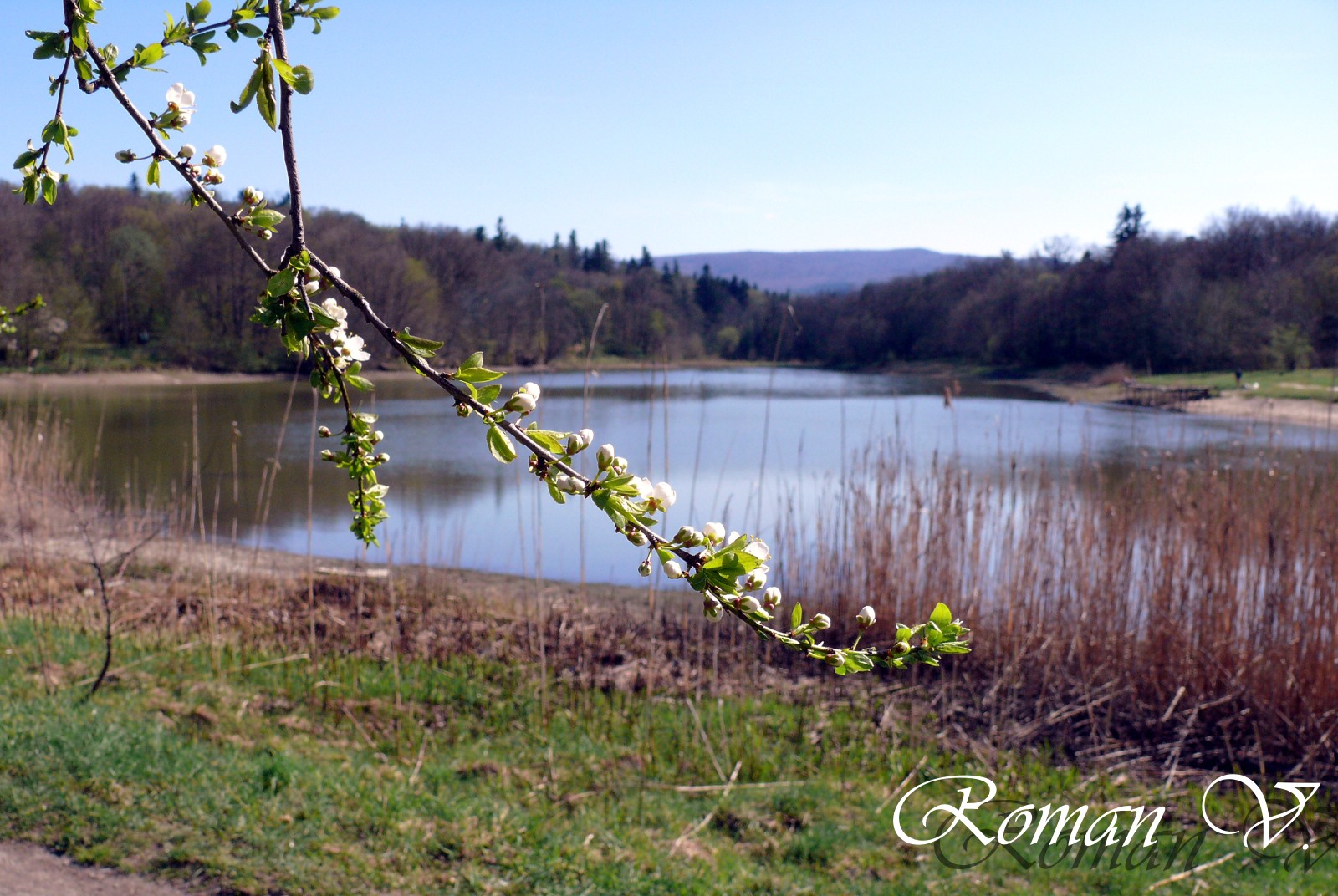 Весна на Трускавецькому озері