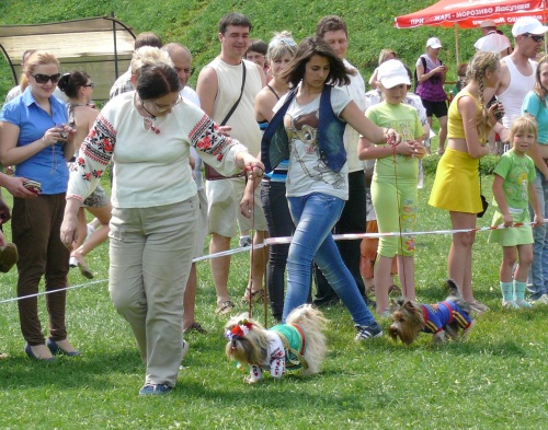 Національна виставка собак "Кубок Східниці"